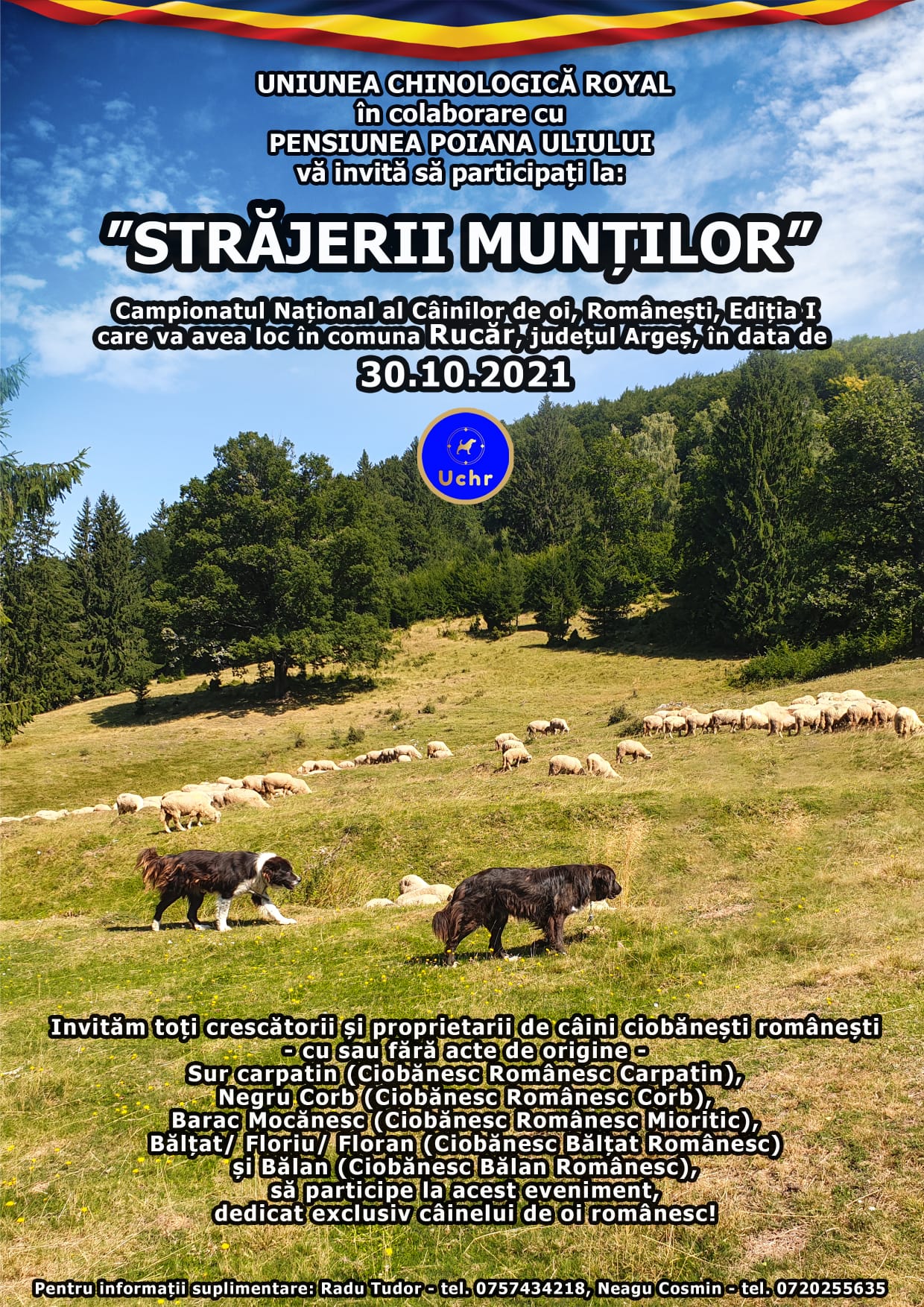 Strajerii Muntilor Night Club Arena UChR